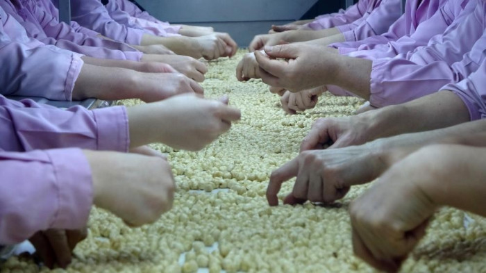 Düzce İlinden AB ülkelerine 8 bin 374 ton gönderildi! 