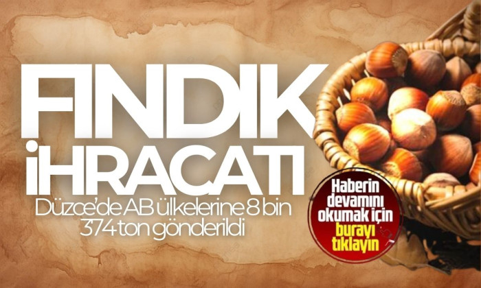 Düzce İlinden AB ülkelerine 8 bin 374 ton gönderildi! 