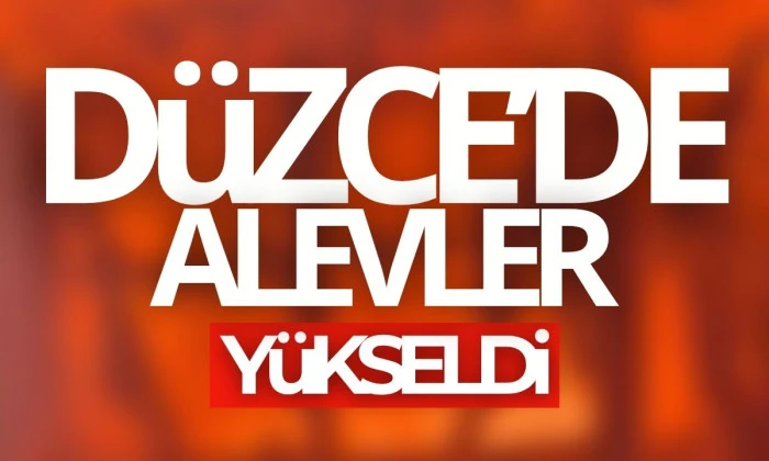 Anız Yakma Yangını Köyde Korku ve Çaba Yarattı