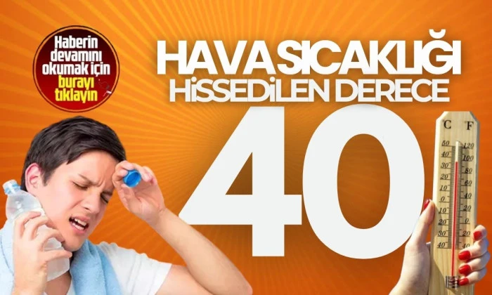 Düzce'de Rekor Sıcaklıklar: Sıcak Dalgası 2025'te 40 °C'ye Ulaşıyor
