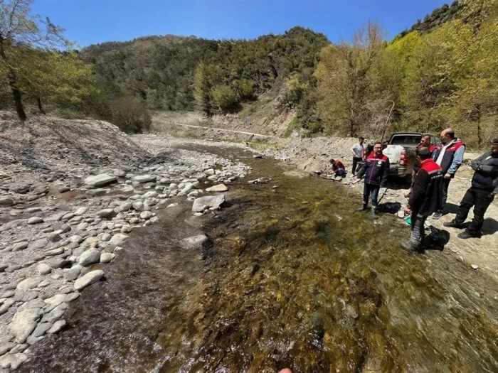 Yığılca&rsquo;da derelere 50 bin kırmızı benekli alabalık yavrusu bırakıldı