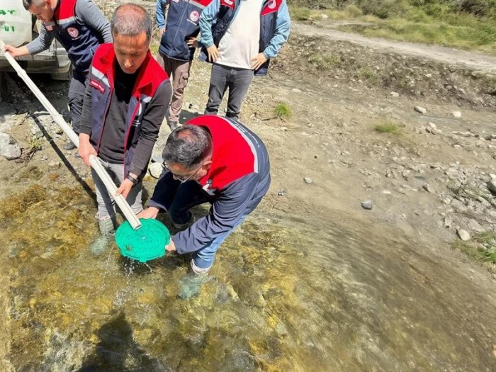Yığılca&rsquo;da derelere 50 bin kırmızı benekli alabalık yavrusu bırakıldı