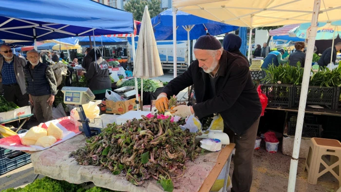 Şifa dağıtan kaldirik otu
