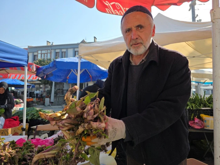 Şifa dağıtan kaldirik otu