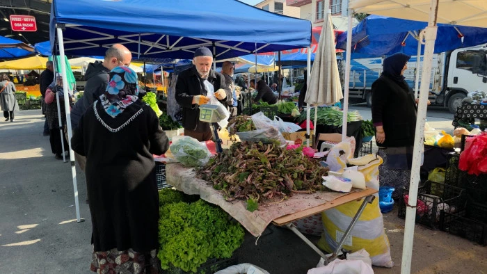 Şifa dağıtan kaldirik otu