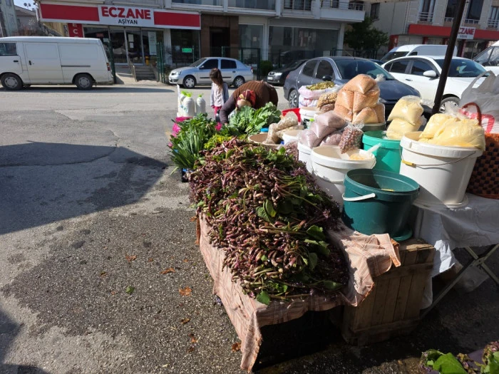 Şifa dağıtan kaldirik otu