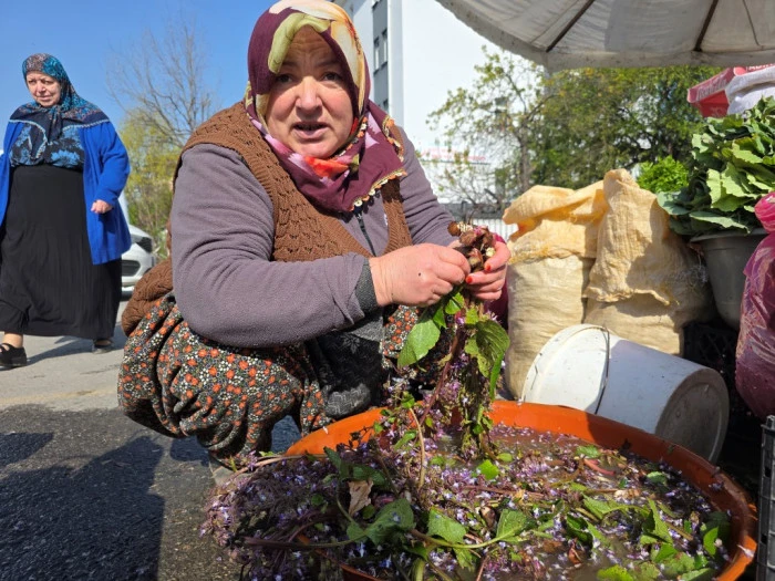 Şifa dağıtan kaldirik otu