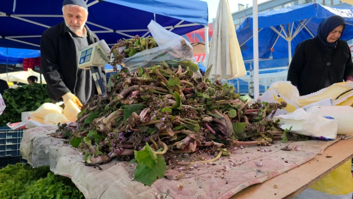 Şifa dağıtan kaldirik otu