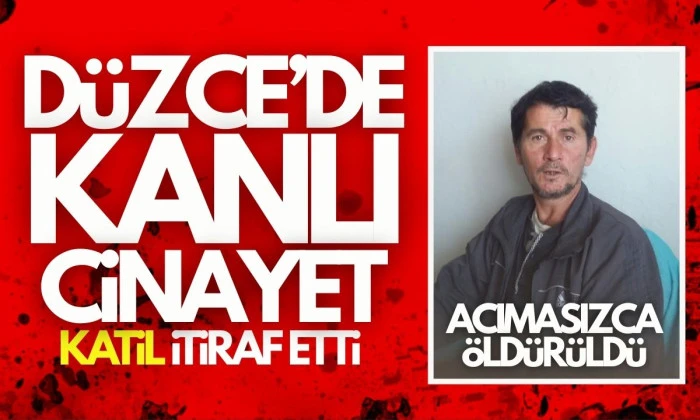 Şahin'in Ölümü: Düzce'de Cinayet Ortaya Çıktı