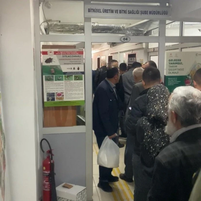 Kahverengi Kokarcaya karşı m&uuml;cadele aralıksız s&uuml;r&uuml;yor