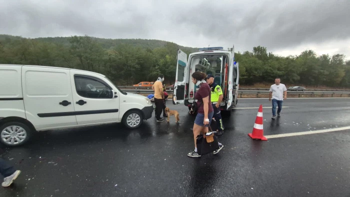 Anadolu Otoyolu'nda Kanlı Kaza: 1 Kişi Hayatını Kaybetti