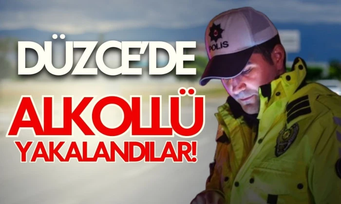 D&uuml;zce'de s&uuml;r&uuml;c&uuml;lere cezai işlem uygulandı