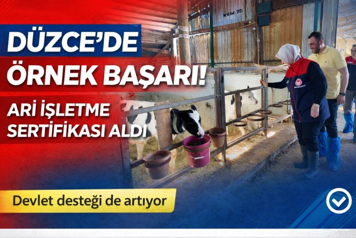 D&uuml;zce&rsquo;de ari işletme sayısı artıyor..