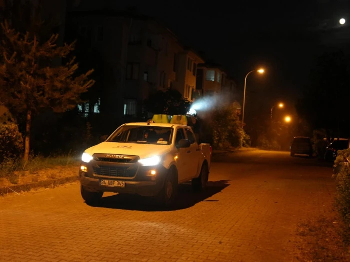 Düzce’de görülmeye başladı