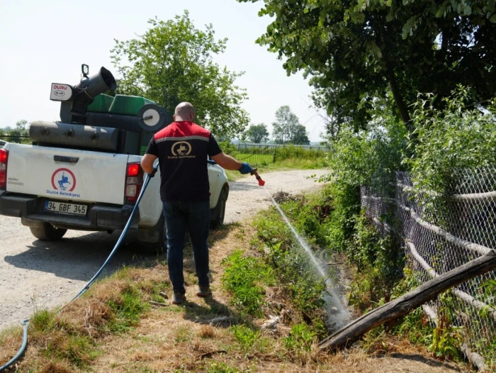 Düzce’de görülmeye başladı