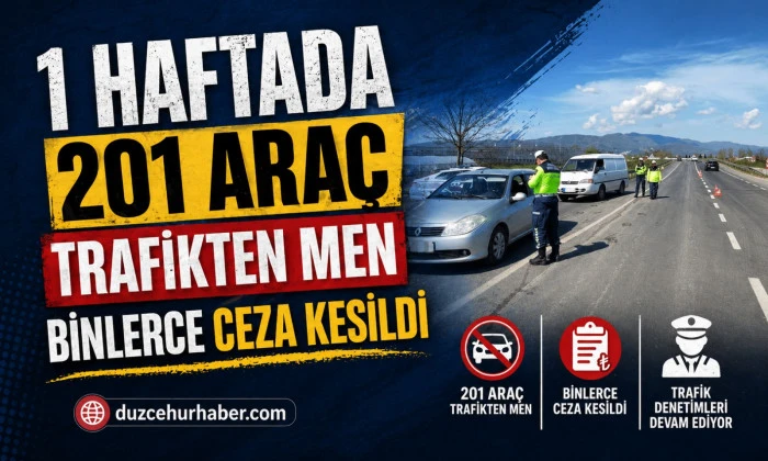 201 ara&ccedil; trafikten men edildi