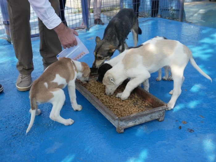 Mama &uuml;retim tesisi kuruldu