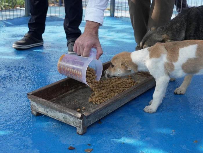 Mama &uuml;retim tesisi kuruldu