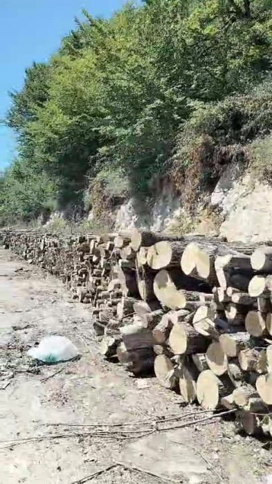 Katliama mı dönüştü?