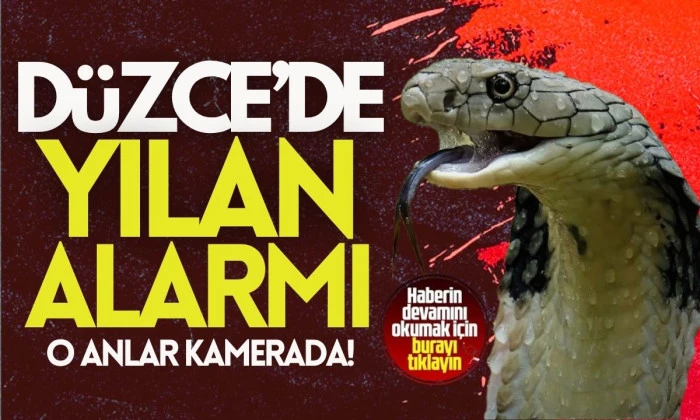 Düzce'de yılanı itfaiye yakaladı
