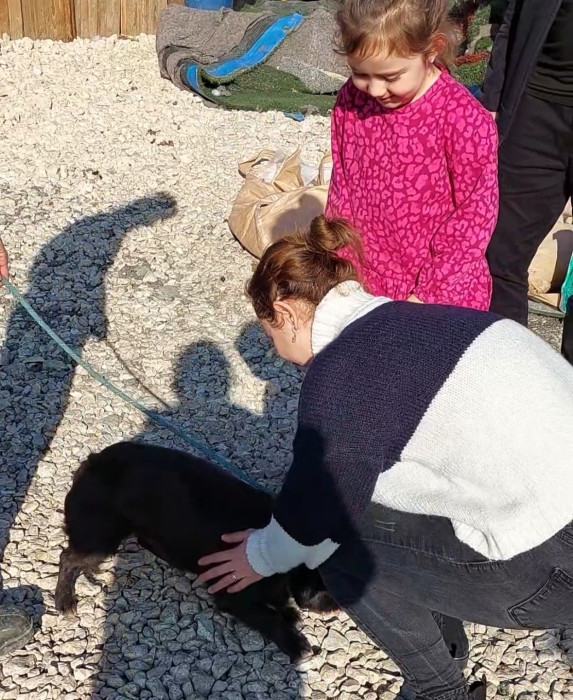 Düzce’den kaybolan köpek Edirne’de bulundu