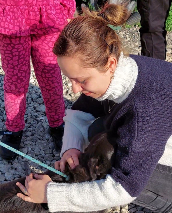Düzce’den kaybolan köpek Edirne’de bulundu
