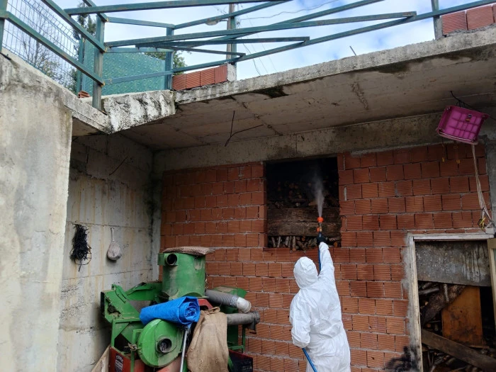 Kahverengi Kokarca’ çağrısı