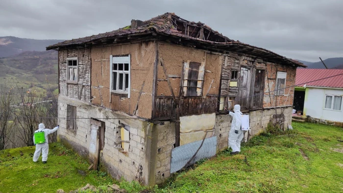 Kahverengi Kokarca’ çağrısı