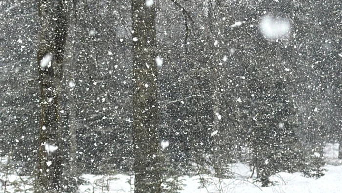 D&uuml;zce&rsquo;de Kar Yeniden Bastırdı: Yaylalarda Son Durum