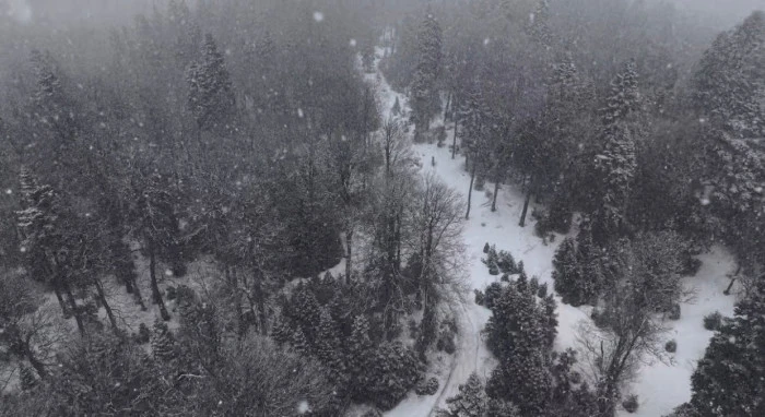 D&uuml;zce&rsquo;de Kar Yeniden Bastırdı: Yaylalarda Son Durum