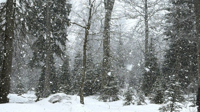 D&uuml;zce&rsquo;de Kar Yeniden Bastırdı: Yaylalarda Son Durum