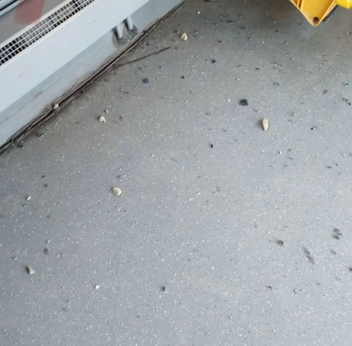 Düzcespor İskenderun Maçı taşlı sopalı saldırı 