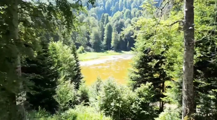Dursun Özbek Düzce'yi Ziyaret Edecek