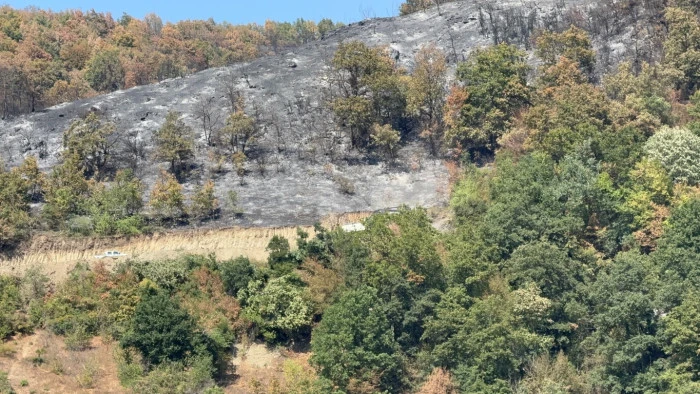 9 Saatte Sönen Yangın: Düzce'de Hasar Tespiti
