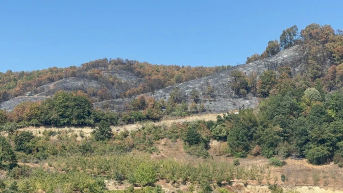 9 Saatte Sönen Yangın: Düzce'de Hasar Tespiti