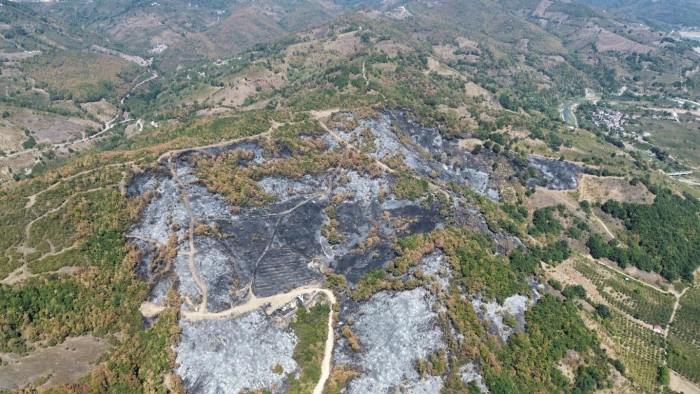 9 Saatte Sönen Yangın: Düzce'de Hasar Tespiti