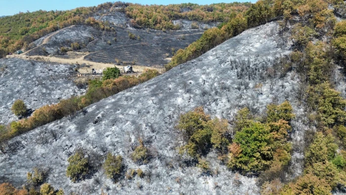9 Saatte Sönen Yangın: Düzce'de Hasar Tespiti