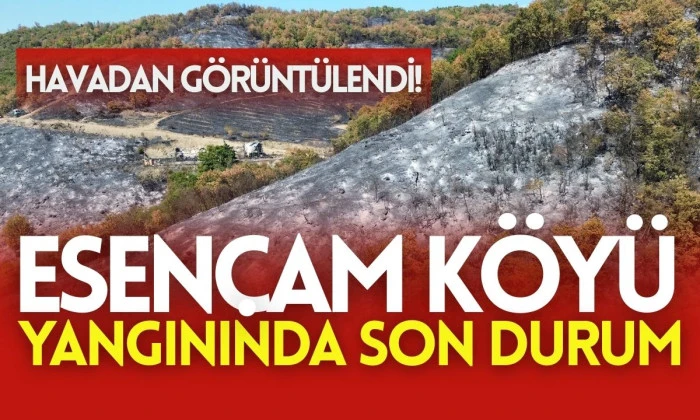 9 Saatte Sönen Yangın: Düzce'de Hasar Tespiti