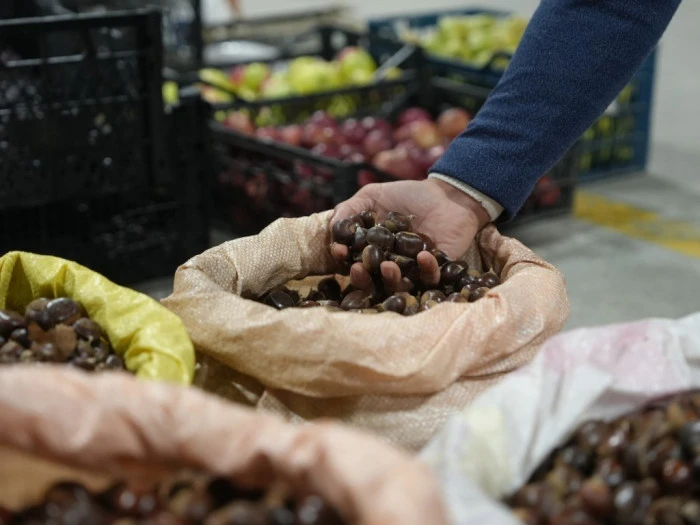 Kestane her pazar ve &ccedil;arşamba akşamı tezgahta