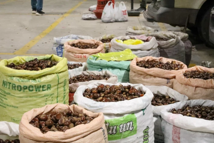 Kestane her pazar ve &ccedil;arşamba akşamı tezgahta