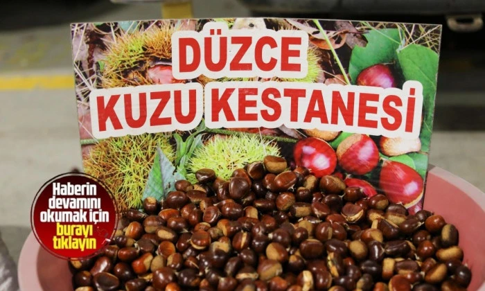 Kestane her pazar ve &ccedil;arşamba akşamı tezgahta