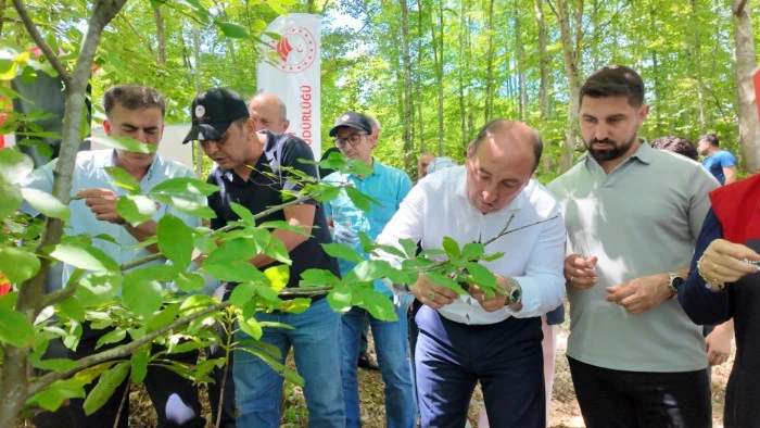 Savaş&ccedil;ı arılar kahverengi kokarcalar i&ccedil;in salındı