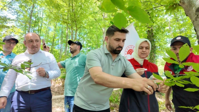 Savaş&ccedil;ı arılar kahverengi kokarcalar i&ccedil;in salındı
