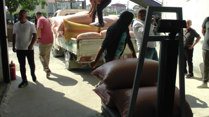 Fındık alımı sürüyor 