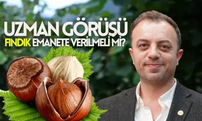 Akçakoca Fındık Fiyatları 2025: Üreticiye Uyarı