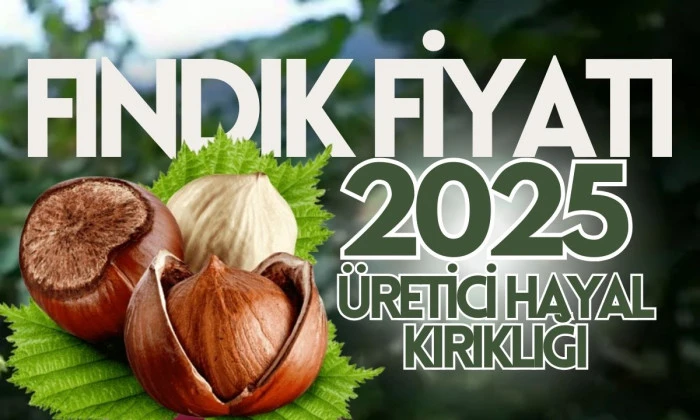 Fındık Satışı 2025: Tüketiciye Uzman Tavsiyesi