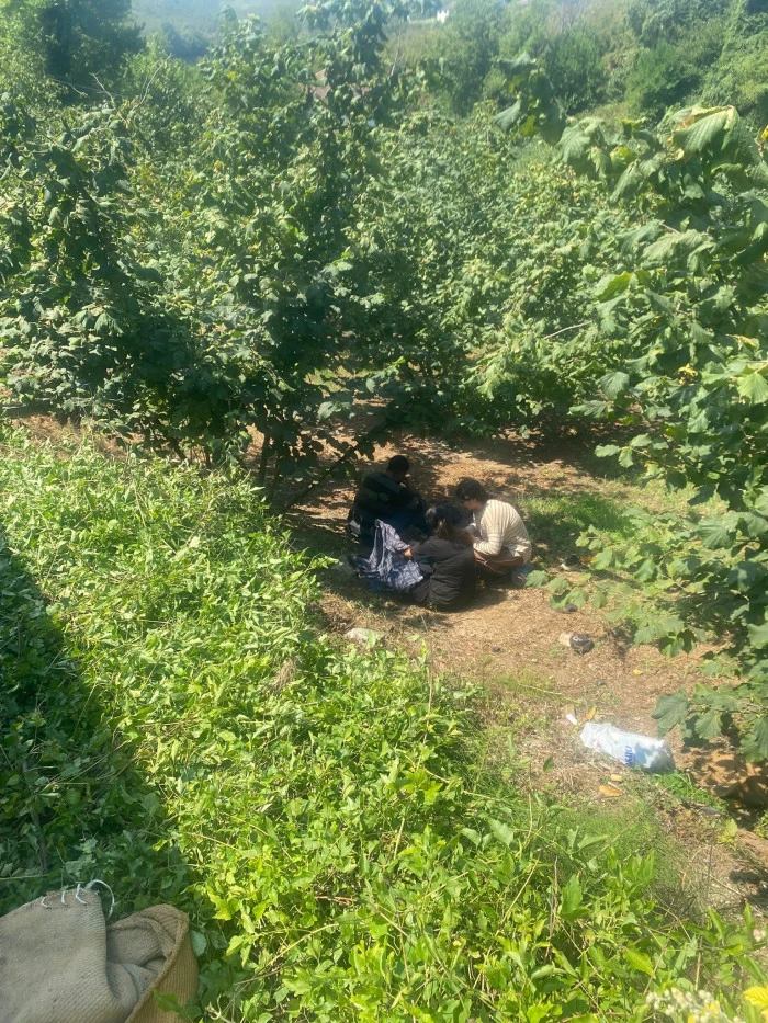 Fındık işçilerini taşıyan traktör devrildi: 8 yaralı