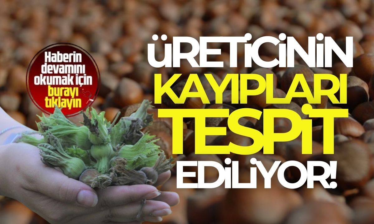 TARSİM güvencesi hayati önem taşıyor