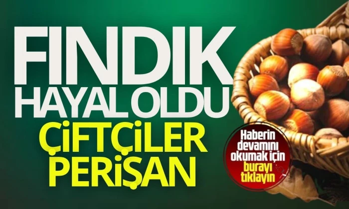 Fındık Kuruduktan Sonra Çiftçiler Gelecek Yıl İçin Endişeli