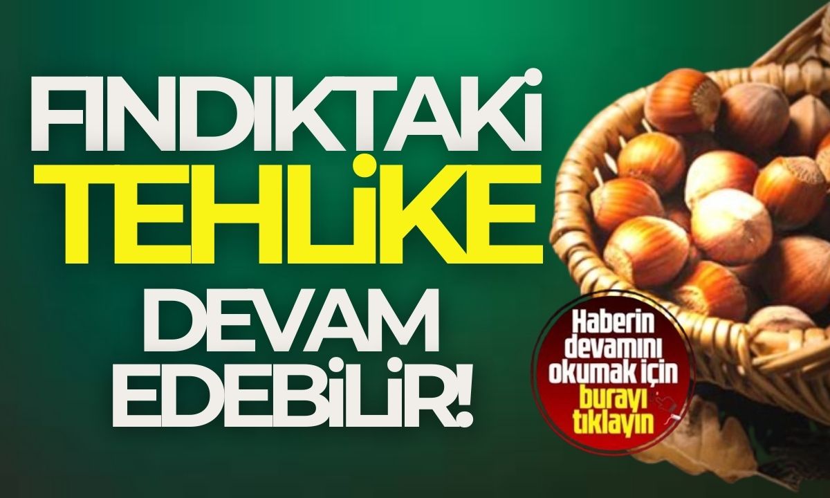 Fındıktaki tehlike devam edebilir!